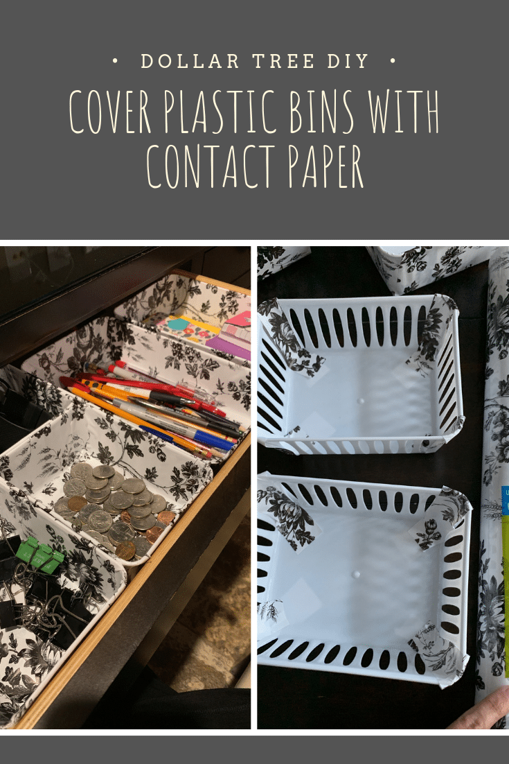 Dollar Tree bins for organizing