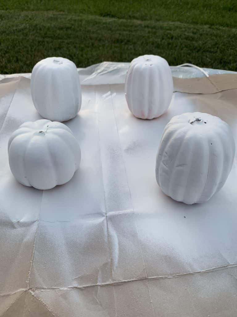 Pumpkins spray painted white