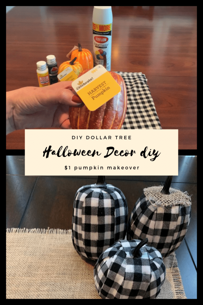 Halloween Decoration DIY