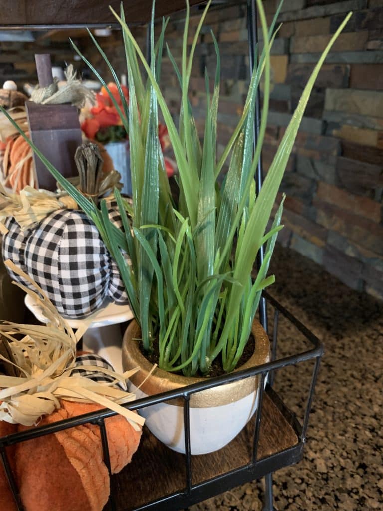 Green Plant from Hobby Lobby