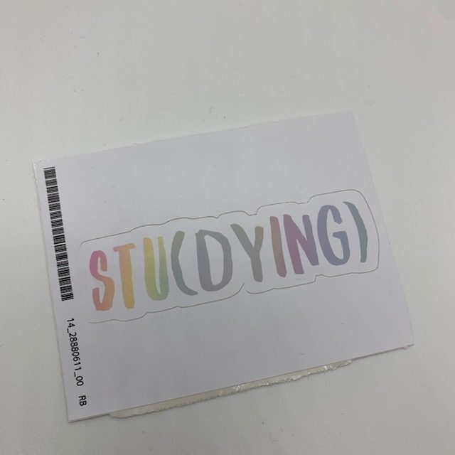 laptop sticker for Christmas Care Package