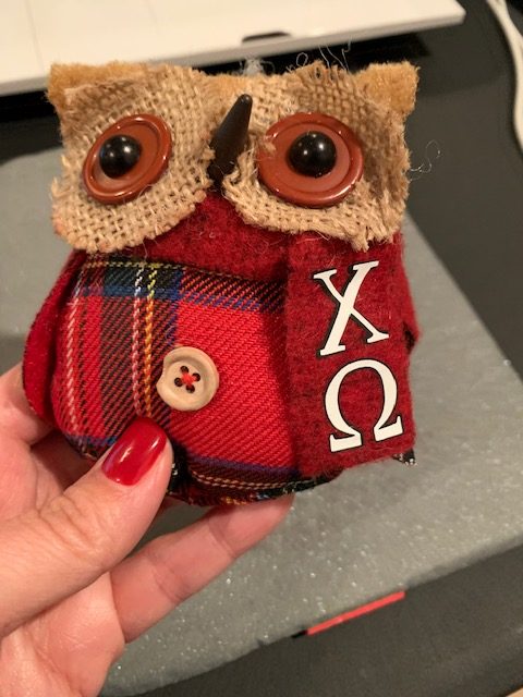 Personalize with Cricut by using heat transfer vinyl to put letters on these owl ornaments