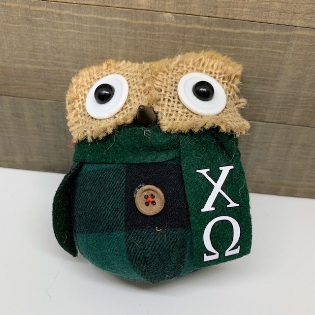 Personalize with Cricut by using heat transfer vinyl to put letters on these owl ornaments