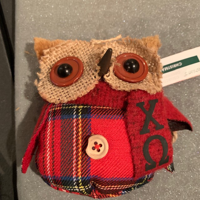 Personalize with Cricut by using heat transfer vinyl to put letters on these owl ornaments