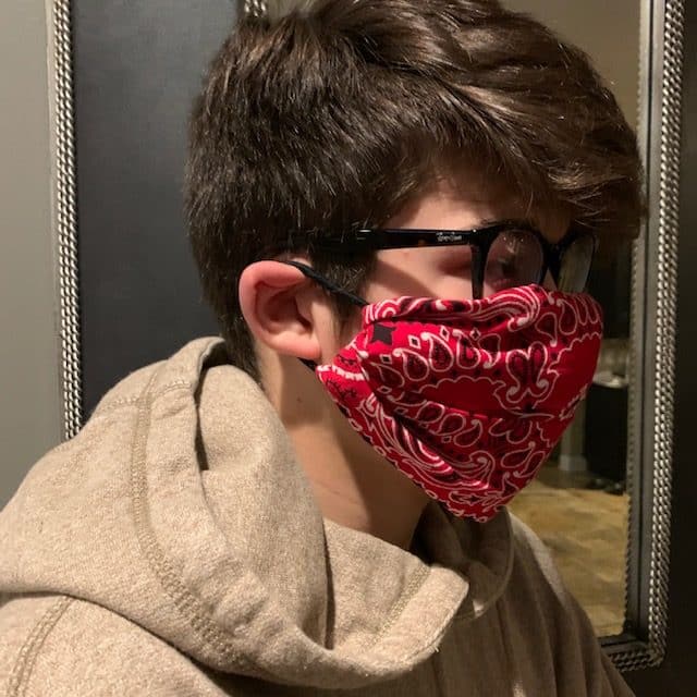 diy face mask for protection, no sew