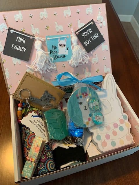 care package llama theme