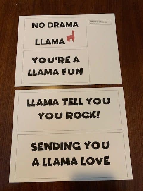 care package llama theme