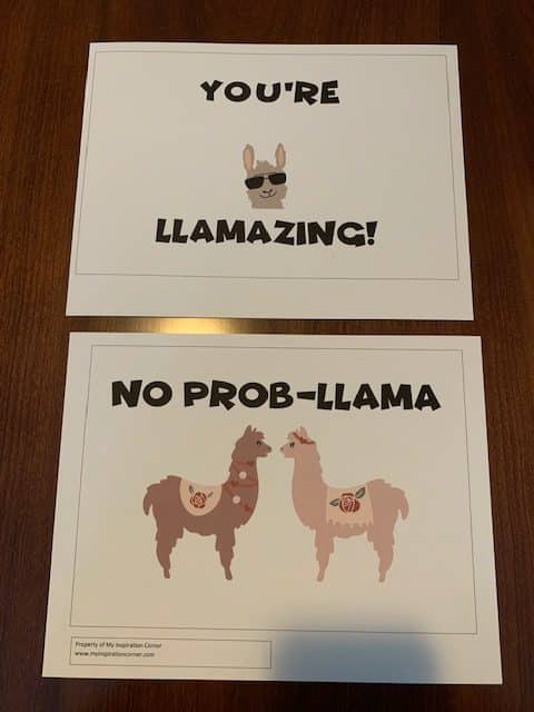 care package llama theme