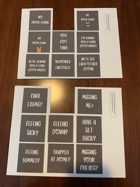 care package llama theme