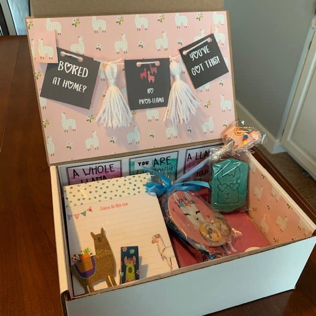 care package llama theme