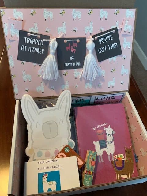 care package llama theme