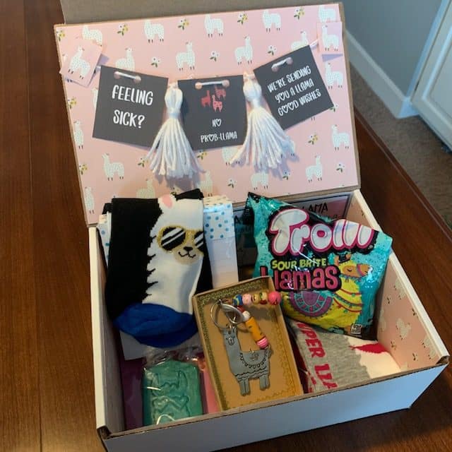 care package llama theme