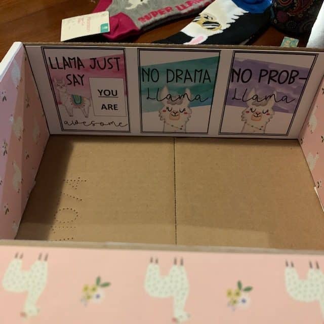 llama care package